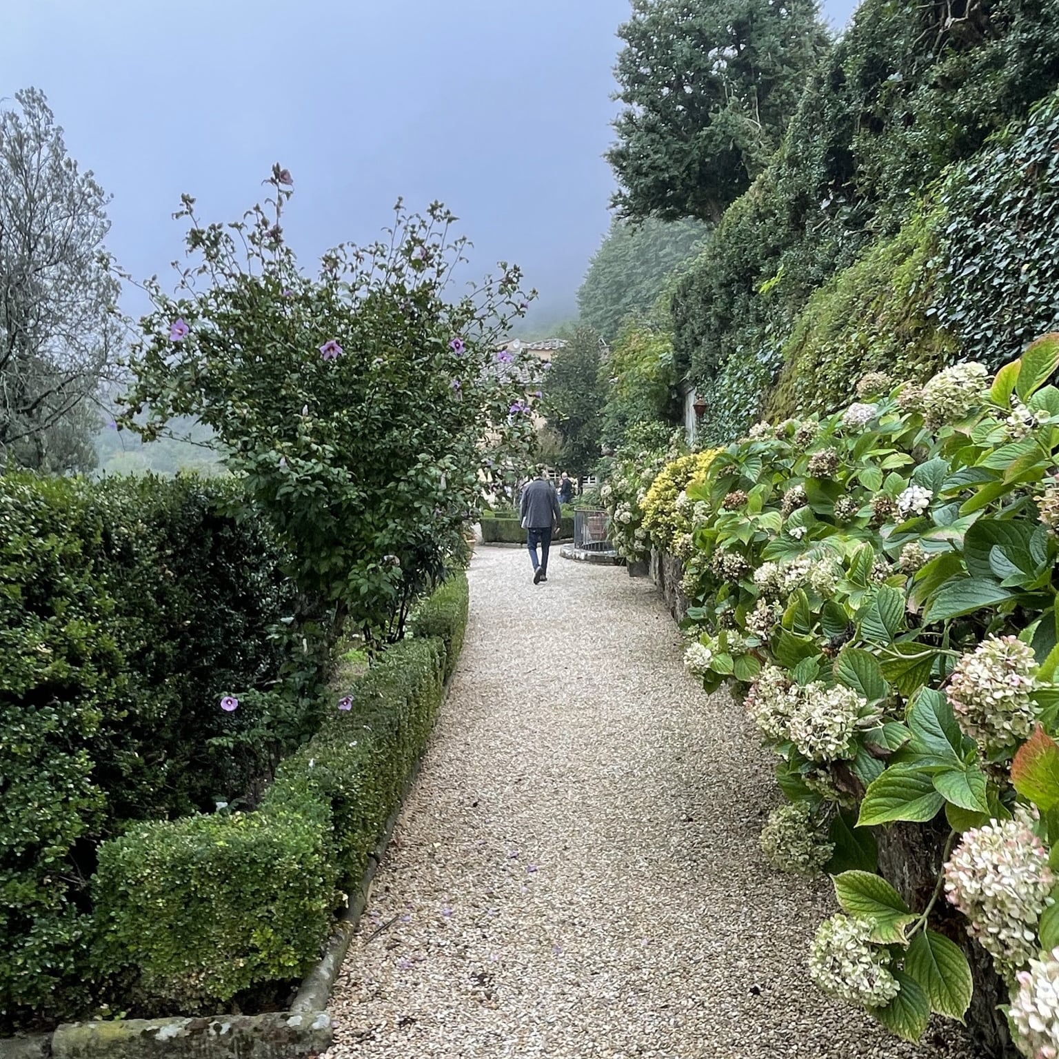 Villa Il Bacchino