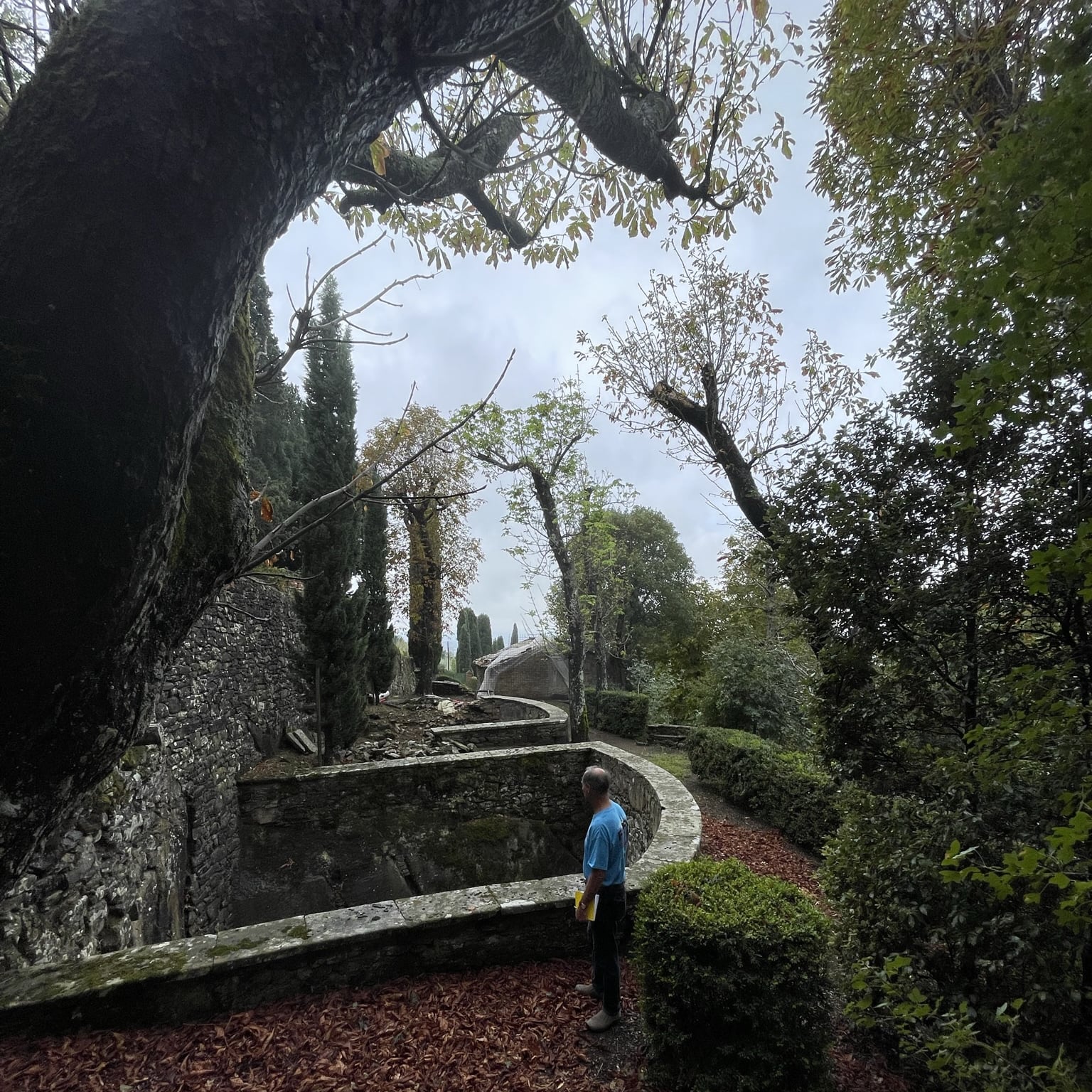 Villa Il Bacchino